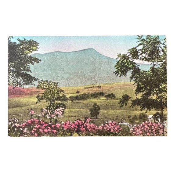 Massanutten Springs Station Harrisonburg Virginia Postcard - Picture 7 of 14